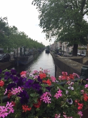 One of the canals in the Hague